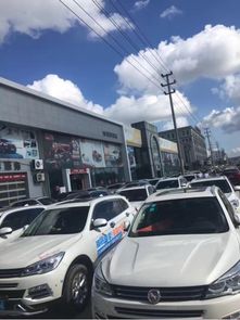 臺州騰晟漢騰汽車仙居漂流自駕游圓滿