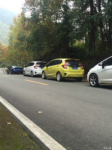 臺(tái)州三飛車友會(huì)首聚盛況 以車會(huì)友，精彩紛呈